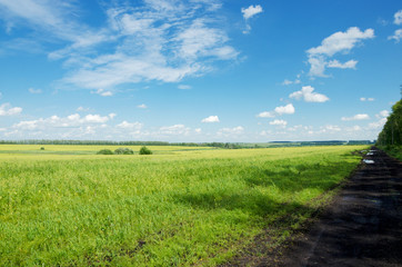 Fototapeta na wymiar Sunny summer landscape with ground countryside road 