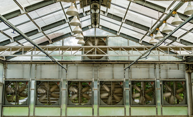Fan system of greenhouse