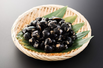 シジミ貝