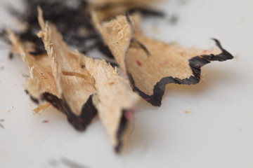 colored pencil chips (shavings) on white background in a carnation flower pattern, looking isolated
