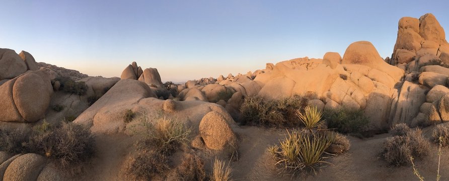 Sonnenuntergang im Joshua Tree Nationalpark