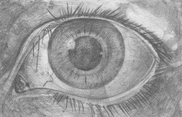 Eyes. Pencil sketch of eyes.