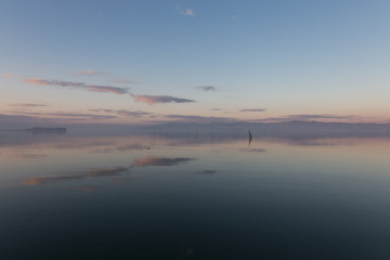 Fototapeta premium A symmetric photo of a lake, with a town and clouds reflections on water, soft and warm colors, and a water bird and wooden poles in the foreground