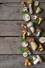 Edible wild mushrooms border, boletus, russule, chanterelles on the wooden background.