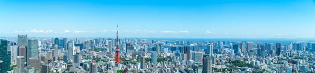 Gordijnen Tokyo landschap © naka