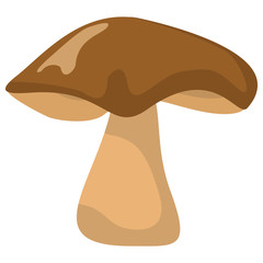 Mushroom with brown hat on white background element for mushroom design and web