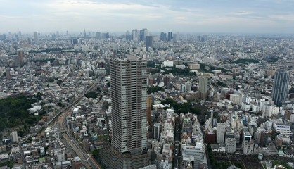 Fototapeta na wymiar 日本の東京都市景観（渋谷区や新宿区方面などを望む）