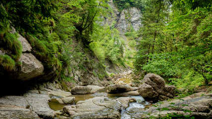 Bachlauf im Wald