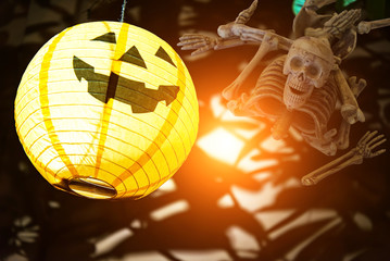 Halloween pumpkin head jack lantern in the garden,Skull skull,select focus
