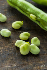 Fresh broad bean pods - closeup with selective focus