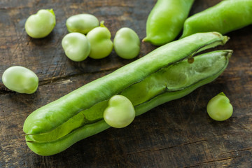Fresh broad bean pods - closeup with selective focus