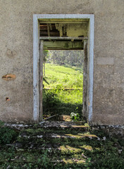 Atlantic forest viewed through the door of an abandoned house
