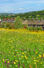 Classic british landscape at the Peak district near Manchester..
