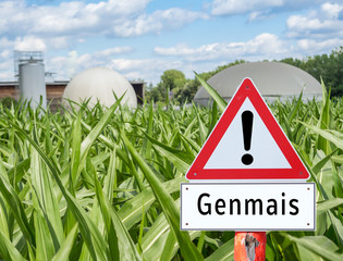 Achtung Genmais Schild