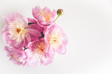 Bouquet of peonies,  photo in gentle colors. Good morning. Have a nice day! Place for text