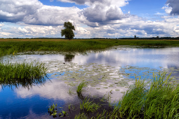 Dolina Narwi © podlaski49