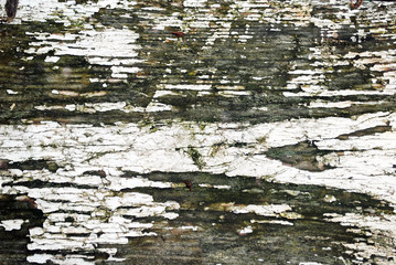 Background texture of an old white paint.