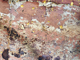 Fototapeta premium Background texture of an old plastered wall.