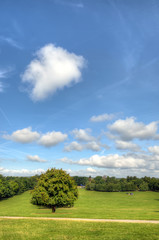 Wollaton park Nottingham Nottingham, UK, England..