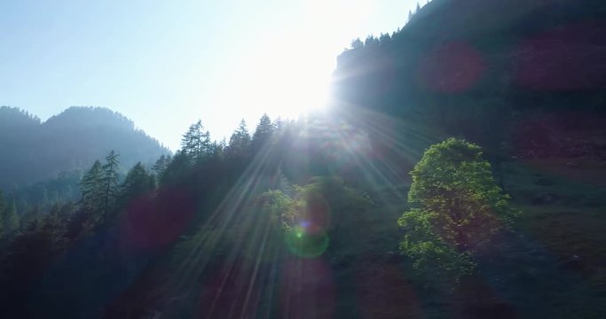 moving side to  pine woods forest and mountain valley with sun flare in summer day.Europe Italy Alps outdoor green nature scape mountains wild aerial establisher.4k drone flight establishing shot