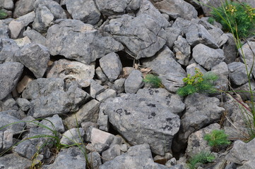 Pierres et rocher