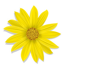 Желтый цветок. Вектор