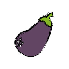 eggplant vegetable icon