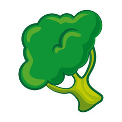 broccoli vegetable icon over white background colorful design vector illustration