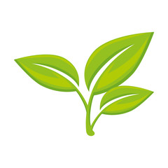 stem with leaves icon over white background colorful design vector illustration