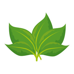 stem with leaves icon over white background colorful design vector illustration