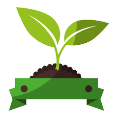 emblem of plant with decorative ribbon icon over white backgroudn vector illustration