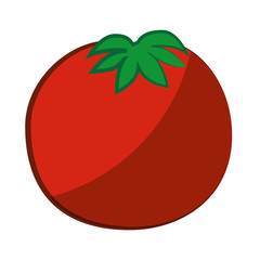 tomato vegetable  icon over white background vector illustration