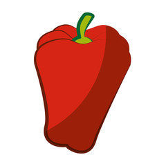 pepper icon over white background vector illustration