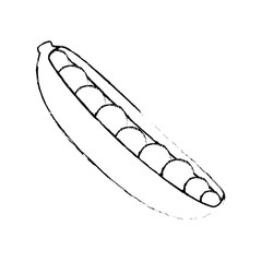 Sheath of peas icon over white background vector illustration