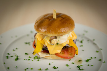 Beef burger with cheese and vegetables on a plate
