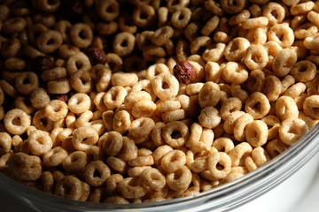 Breakfast cereals in morning light