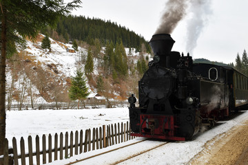 Obraz na płótnie Canvas Running wood-burning locomotive of Mocanita ( Bucovina, Romania).
