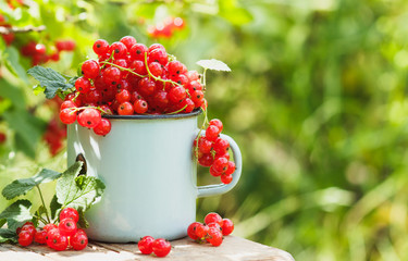 Metal mug with ripe red currant on the table