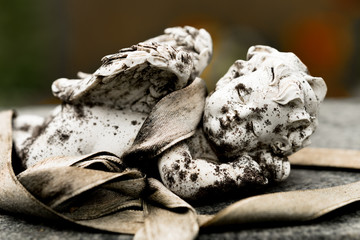 sleeping angel