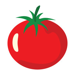 Tomato icon in cartoon flat style isolated object vegetable organic eco bio product from the farm vector illustration. Tomato object for vegetarian design