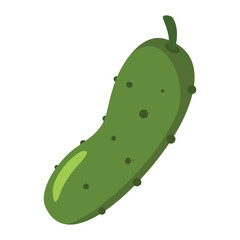 Cucumber icon in cartoon flat style isolated object vegetable organic eco bio product from the farm vector illustration. Cucumber object for vegetarian design