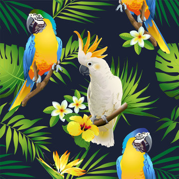 Seamless pattern of parrots cockatoo on the tropical branches with leaves and flowers on dark. Hand drawn vector
