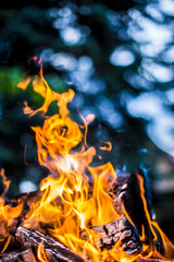 Flammen von einem großen Lagerfeuer brennen in einem Wald