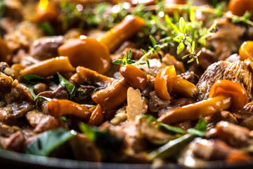 Waldpilze Pfanne 