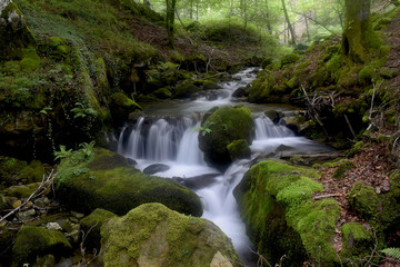 Obraz premium Rincón en Araia - 07