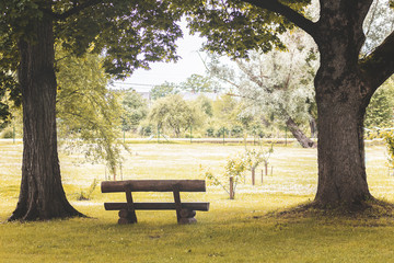 bench made of oak wood
