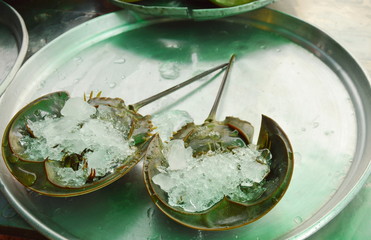 sea horseshoe crab preserved by ice for sale in Thailand traditional market