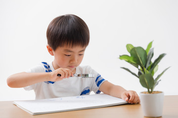 自由研究・白バック
