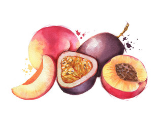 Hand-drawn watercolor illustration of juicy ripe peaches and passion fruits. Sliced fruits isolated on the white background. Summer healthy food drawing