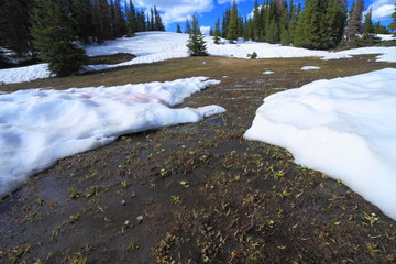 Melting snow in the mountains